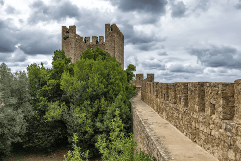 From Lisbon: Nazare Big Waves and Óbidos Day Trip Mundial EN