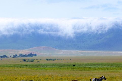 Ngorongoro Day Trip Safari (Big Five) From Arusha Tanzania: Ngorongoro Big Five Day Trip From Arusha