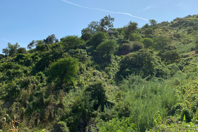 From Praia: Purgueira-Picos Sunrise Hike with Picnic Santiago: From the Beach, a Sunrise Hike to Purgueira-Picos with a Picnic