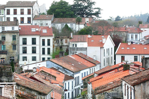 Santiago de Compostela & Vigo: Full-Day Tour from Porto