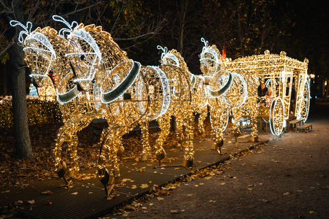 Vienna: tour serale di Natale con le luci del Palazzo di Schönbrunn