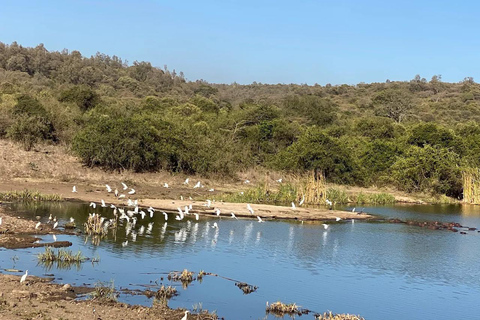Nairobi National Park Luxury Picnic Game Drive