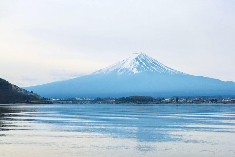 Tokyo: Escursione al lago Kawaguchi, Oshino Hakkai e vista del monte FujiTokyo Mode Gakuen:8:30AM