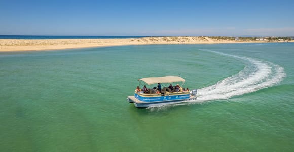 From Faro: 2-Hour Guided Bird Watching Boat Trip