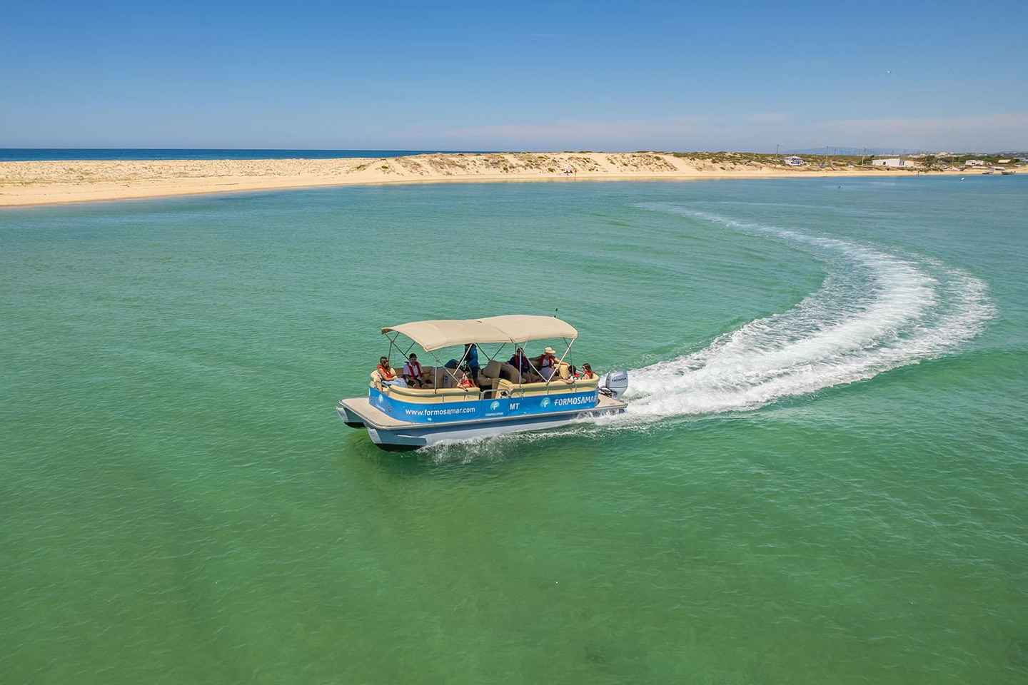 From Faro: 2-Hour Guided Bird Watching Boat Trip - From Faro: 2-Hour Guided Bird Watching Boat Trip