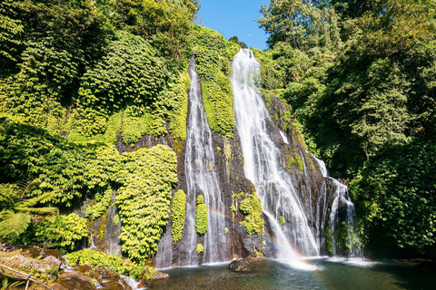 Bali: Tour privato dell&#039;Isola del Nord con cascata BanyumalaTour senza tasse d&#039;ingresso