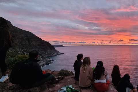 Luxury Cape of Good Hope & Penguin Tour