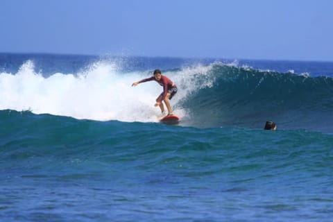 Bali: Nusa Lembongan Surf Lesson for All Levels