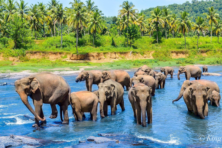 2 dagars rundtur Pinnawala/Sigiriya från Kandy2 dagars rundtur med tuk tuk