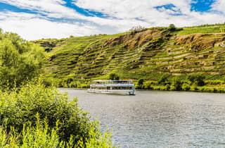 Koblenz: Panoramakreuzfahrt auf der Mosel nach Winningen
