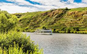 Koblenz: Panoramic Cruise on Moselle River to Winningen