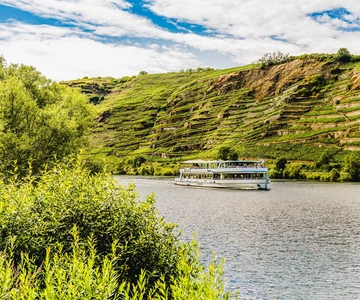 Koblenz: Panoramic Cruise on Moselle River to Winningen