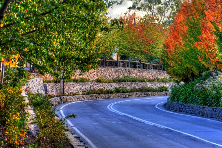 Tour de la Barossa et de la colline de Hahndorf