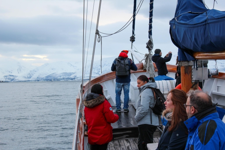 Tromso: Gefrorene Fjord-Yachtfahrt mit Mittagessen