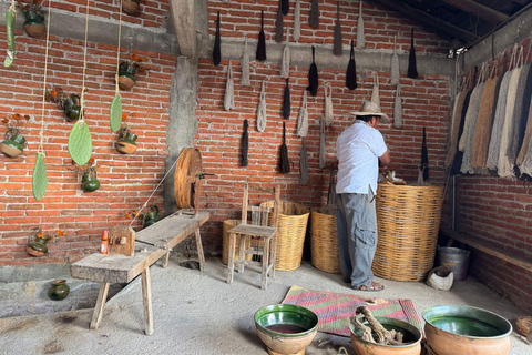 Cuisine ancestrale, art textile à Teotitlán et Tule Tree