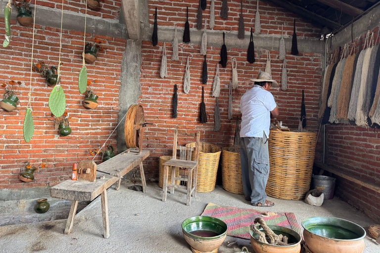 Cucina ancestrale, arte tessile a Teotitlán e Albero di Tule