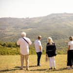 Montalcino: Tour guidato della cantina e degustazione di vini