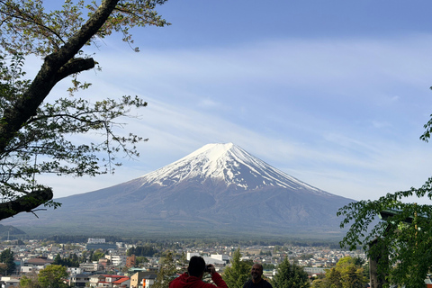 Tokyo: Mt. Fuji & Hakone Private Day Trip with Guide