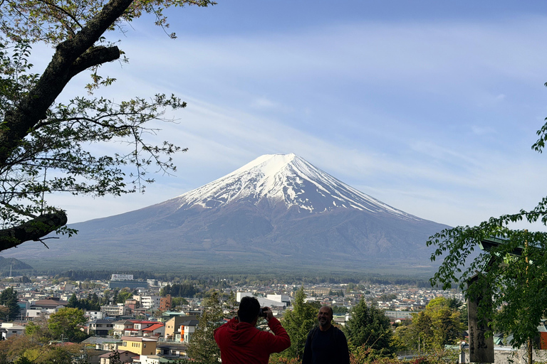 Tokyo: Mt. Fuji & Hakone Private Day Trip with Guide