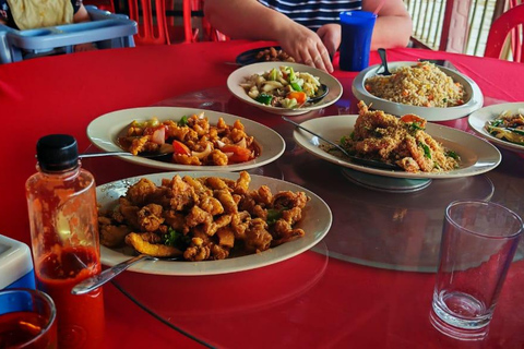 From Skyscrapers to Fireflies: A Malaysian Day Journey