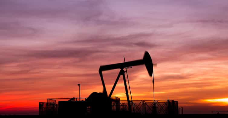 Al Hidd: Bahrain in a Day - Exclusive MSC Cruise Passengers photo 9