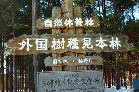 Asahikawa,Biei and Furano Wonderland day Tour in small group Itinerary C: Fairy Terrace Illumination Exclusive Tour