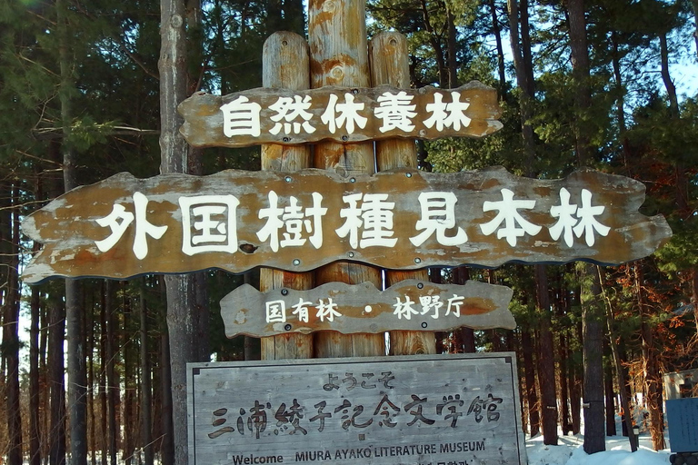 Asahikawa,Biei and Furano Wonderland day Tour in small group Itinerary C: Fairy Terrace Illumination Exclusive Tour