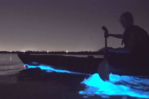 Orlando: Bioluminescenza chiara in kayak o in paddleboardTour della bioluminescenza chiara in kayak o paddleboard