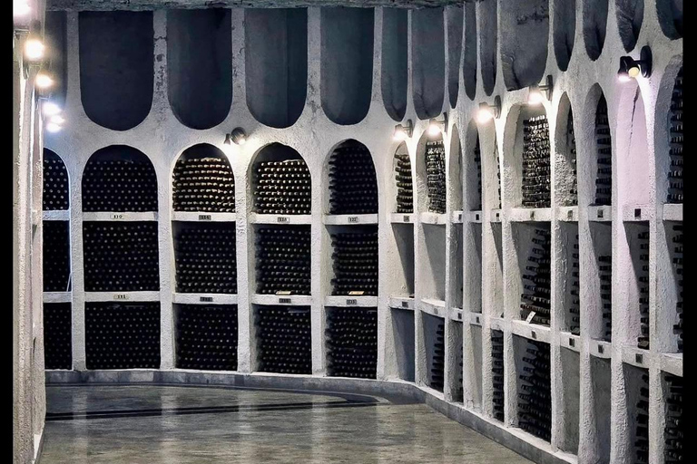 Cricova Winery: Tour and Wine Tasting
