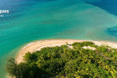 Fajardo: Vieques Island Snorkeling with Turtles Boat Tour