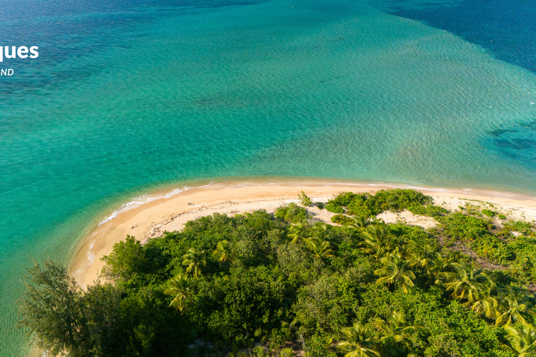 Fajardo: Vieques Island Snorkeling with Turtles Boat Tour