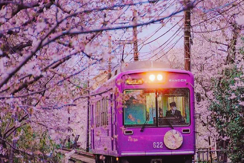 A Thousand Years in One Day: Kyoto & Nara Panoramic Tour Osaka Station