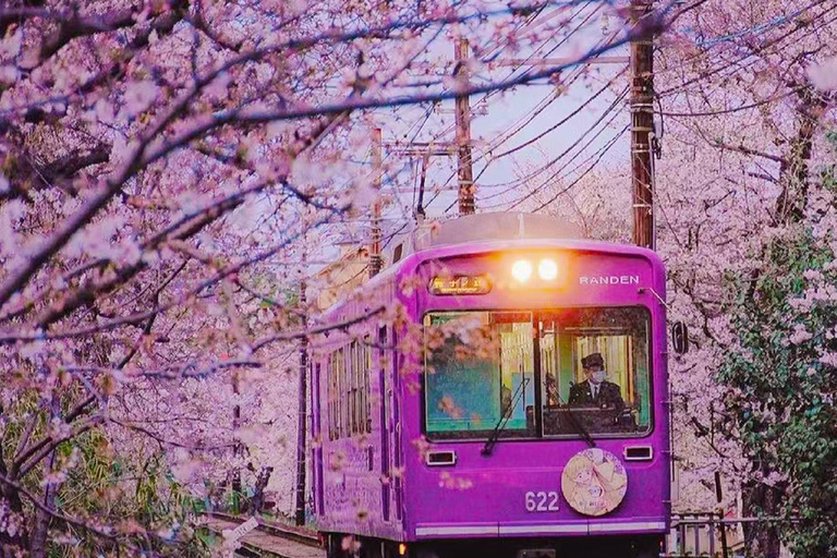 A Thousand Years in One Day: Kyoto & Nara Panoramic Tour Osaka Station