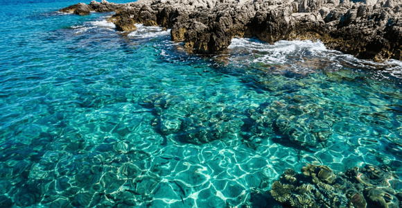 Kotor Bay Escape: Blue Cave, Beach & Swimming Time