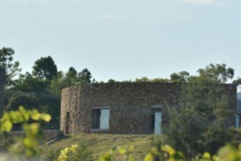 Olivares del Quintón: Exclusive Wine & Olive Experience Wine-Paired Lunch