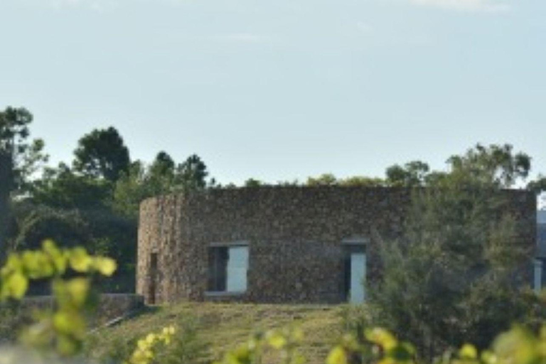 Olivares del Quintón: Exclusive Wine & Olive Experience Wine-Paired Lunch