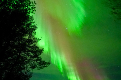 罗瓦涅米：保证能看到北极光，含照片和视频罗瓦涅米：保证能看到极光的狩猎之旅（含照片和视频）