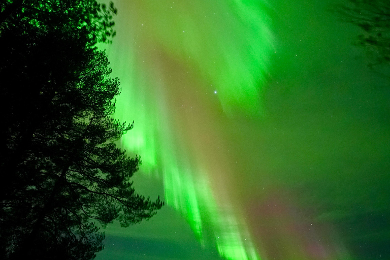 罗瓦涅米：保证能看到北极光，含照片和视频罗瓦涅米：保证能看到极光的狩猎之旅（含照片和视频）