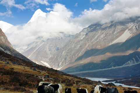 Trekking classique de 6 jours dans la vallée du Langtang, avec guide, au départ de KatmandouTrek classique de 6 jours dans la vallée du Langtang au départ de Katmandou