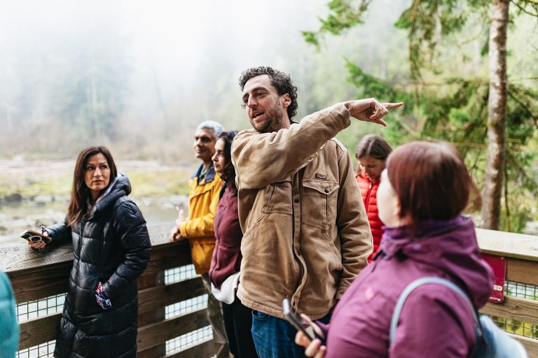 From Seattle: Visit Snoqualmie Falls and Hike to Twin Falls