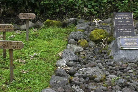 Rwanda 2-day Gorilla Trekking & Dian Fossey Tomb Visit