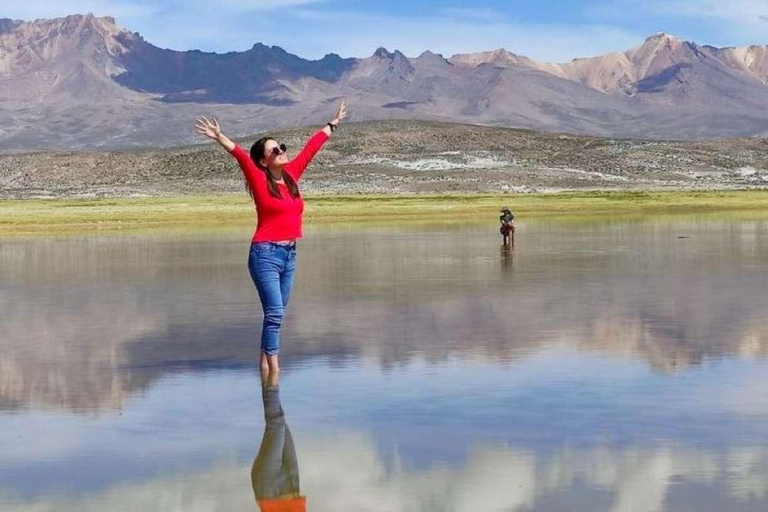 Excursão à Lagoa Salinas e à Reserva Nacional em Arequipa