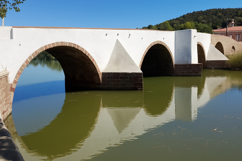 Albufeira: Silves Castle, Cathedral, and Market Tour