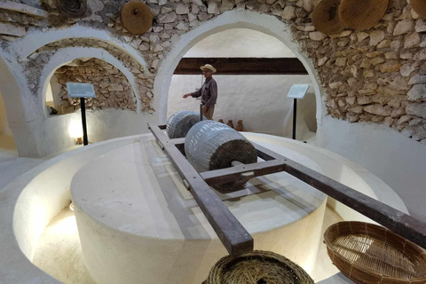 Authentic Djerba: Underground Oil Mill, Palm Grove, Pottery & Mosque