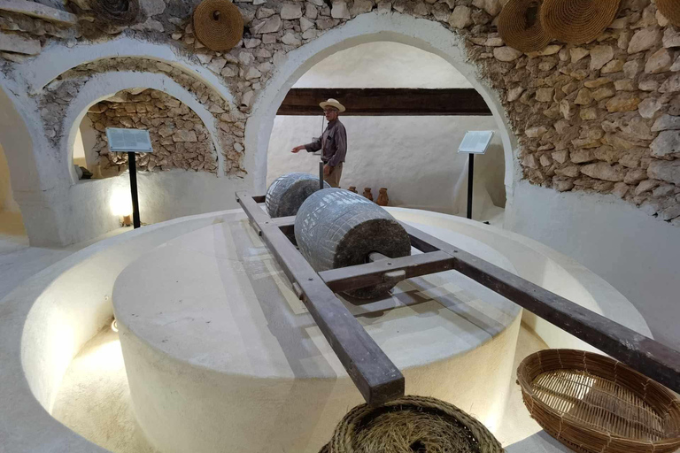Authentic Djerba: Underground Oil Mill, Palm Grove, Pottery & Mosque