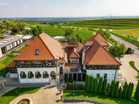 Touring en bodegas y degustación de vinos privados - Tour privada de un día - Housity