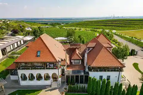 Visita a uma adega e prova de vinhos privada - tour particular de um dia