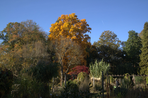 Leuven Bike Tours: Highlights & Beyond + café + bike rental The Leuven Highlights & Beyond (public tour)