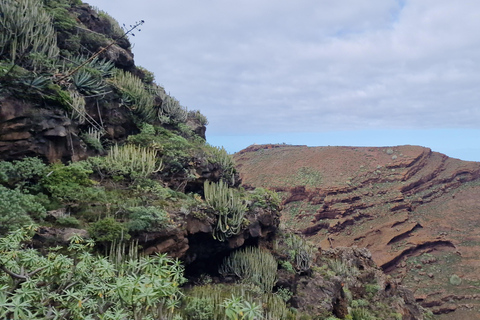 The Wildest Side of La Palma: Hiking into the Past in Garafía La Palma + Salvaje: A Journey into the Past amidst Remote Landscapes