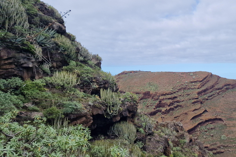 The Wildest Side of La Palma: Hiking into the Past in Garafía La Palma + Salvaje: A Journey into the Past amidst Remote Landscapes